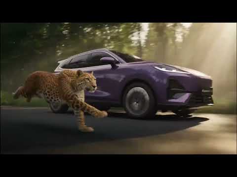 The forest has its leopard.